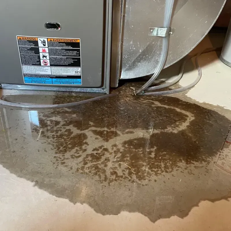 Appliance Leak Cleanup in Sistersville, WV